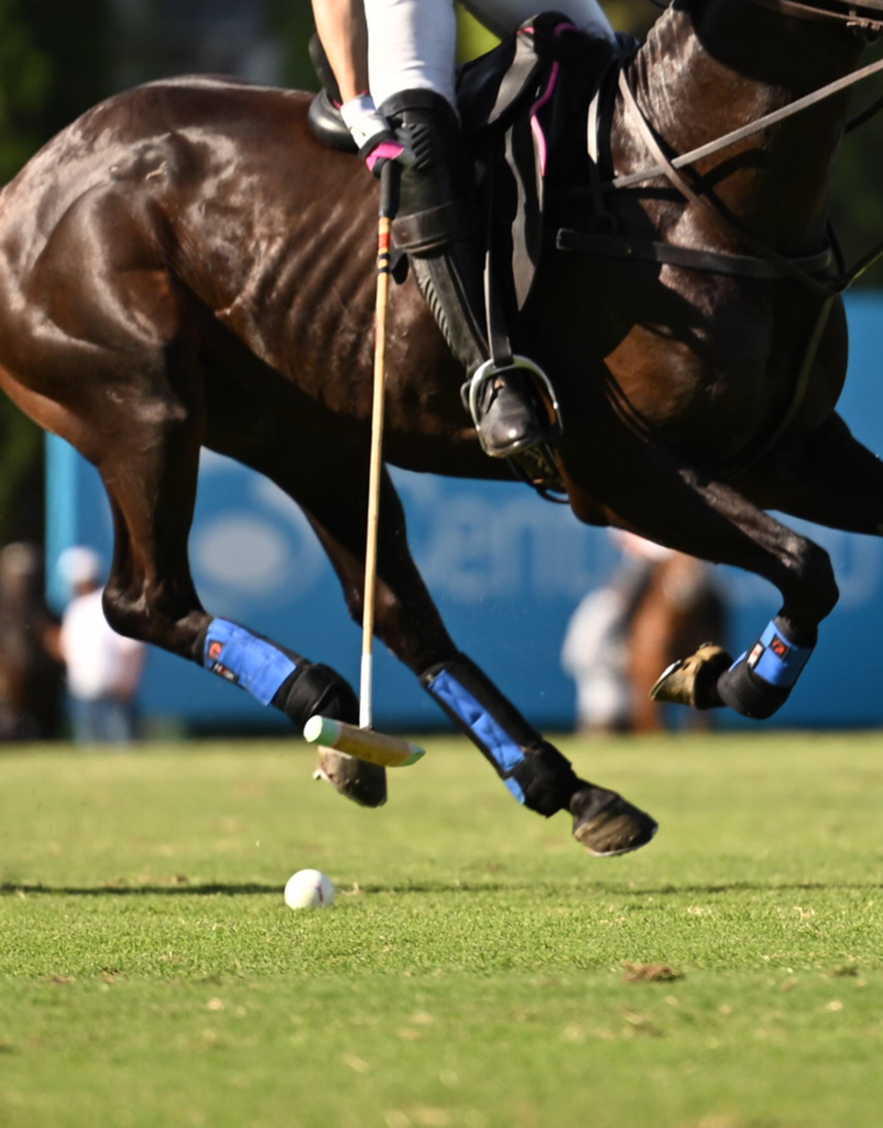 Husk Polo Boots- Ladies Polo World